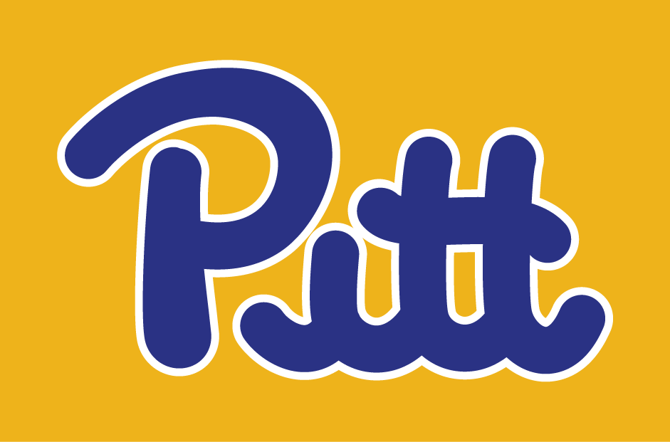 Pittsburgh Panthers 1973-1996 Wordmark Logo diy fabric transfer
